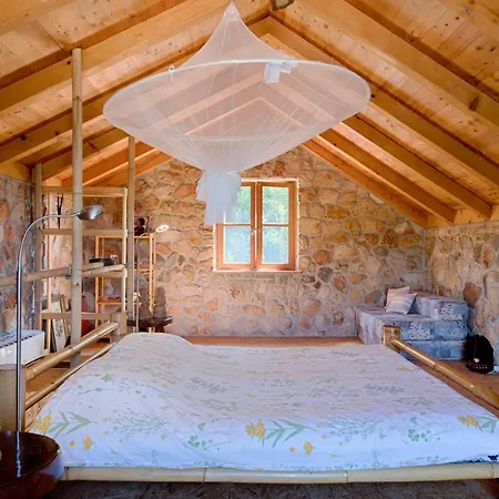 Βίλα Olive Grove House *
