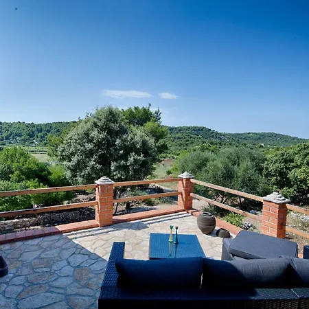 Olive Grove House *