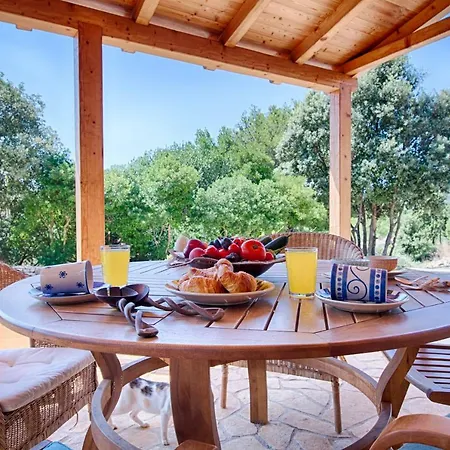 Olive Grove House * Βις