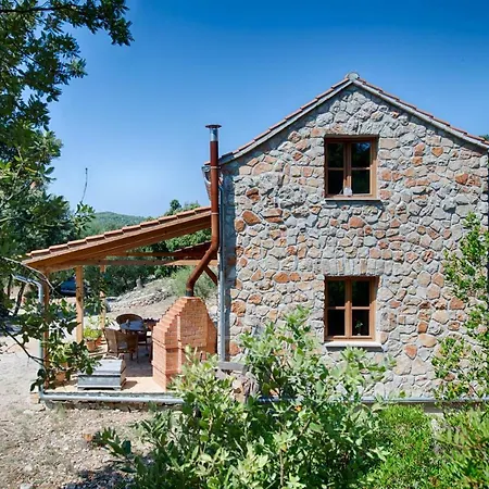 Olive Grove House Βίλα *