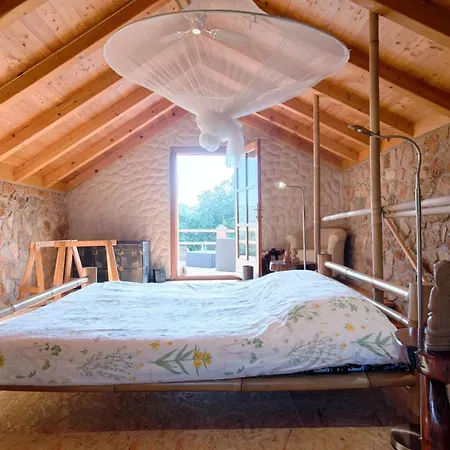 Olive Grove House Βίλα *