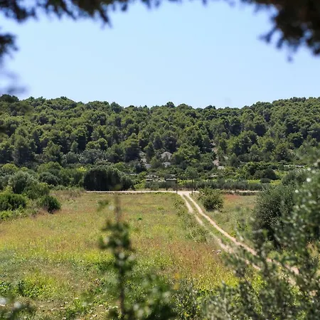 Olive Grove House Βίλα Βις