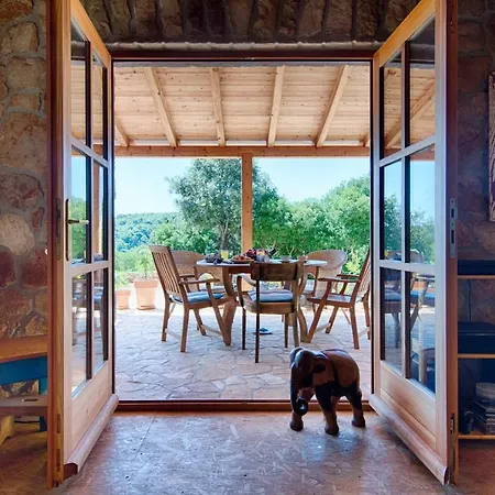 Olive Grove House Βίλα