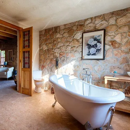 Olive Grove House Βίλα