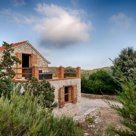 Olive Grove House Βίλα Βις