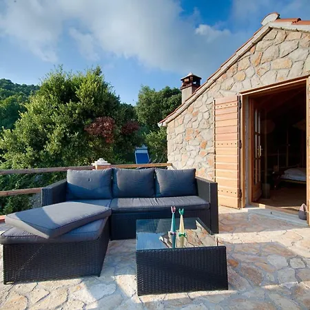 Olive Grove House Βίλα